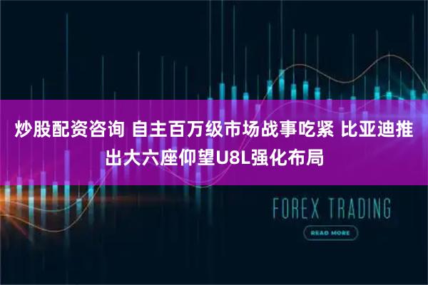炒股配资咨询 自主百万级市场战事吃紧 比亚迪推出大六座仰望U8L强化布局