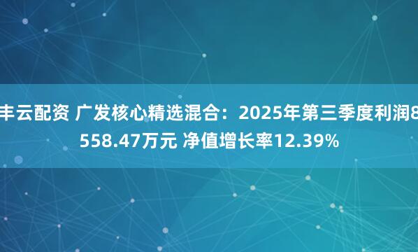丰云配资 广发核心精选混合：2025年第三季度利润8558.47万元 净值增长率12.39%