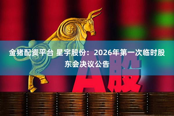 金猪配资平台 星宇股份：2026年第一次临时股东会决议公告
