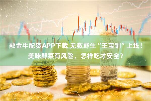 融金牛配资APP下载 无数野生“王宝钏”上线！美味野菜有风险，怎样吃才安全？